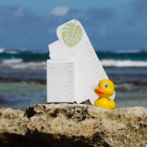 ハワイアンバス＆ボディ・フルサイズ・ソープの箱 (boxのみ) Full Bar Soap Box