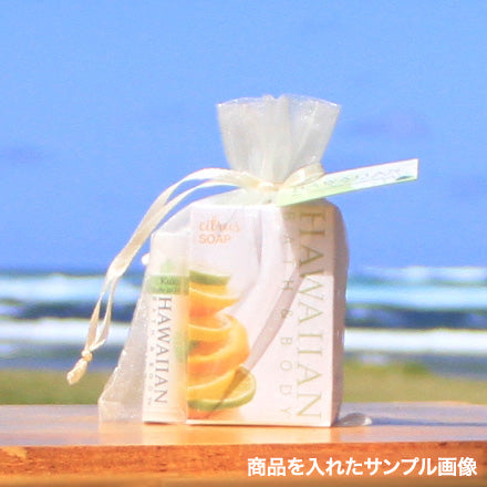 HB&B タグ付きバック Mサイズ アイボリー Organza Ivory M /w Gift Tag