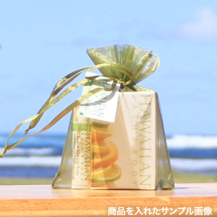 HB&B タグ付きバック Mサイズ グリーン Organza Green M /w Gift Tag