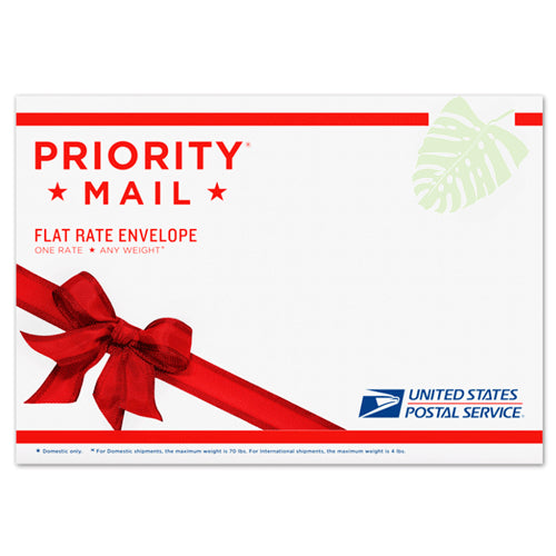 封筒送料～追加の場合のみショッピングカートに入れて下さい  Priority International Envelope