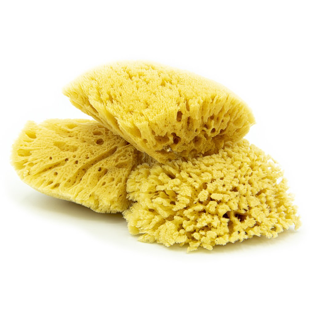 ナチュラルシースポンジ４ Natural Sponge 4"